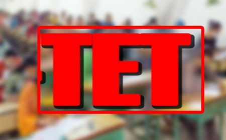 टीईटी अनिवार्यता खत्म करने की मुहिम: सर्व शिक्षक संघ सांसदों को सौंपेगा ज्ञापन