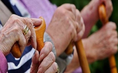 छत्तीसगढ़ में “वरिष्ठ नागरिक कल्याण आयोग” गठन की मांग — पेंशनर्स महासंघ ने मुख्यमंत्री को भेजा पत्र