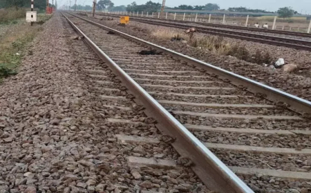 आजाद हिंद एक्सप्रेस की चपेट में 16 बकरे-बकरियों समेत वृद्धा की मौत