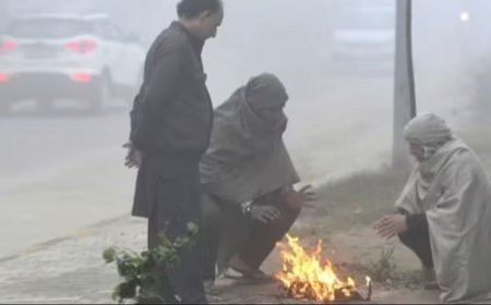 मध्यप्रदेश में कोल्ड वेव का कहर, यूपी और बिहार में छाया कोहरा