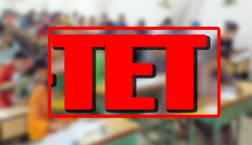 टीईटी अनिवार्यता खत्म करने की मुहिम: सर्व शिक्षक संघ सांसदों को सौंपेगा ज्ञापन