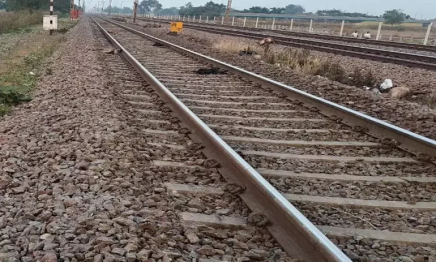 आजाद हिंद एक्सप्रेस की चपेट में 16 बकरे-बकरियों समेत वृद्धा की मौत