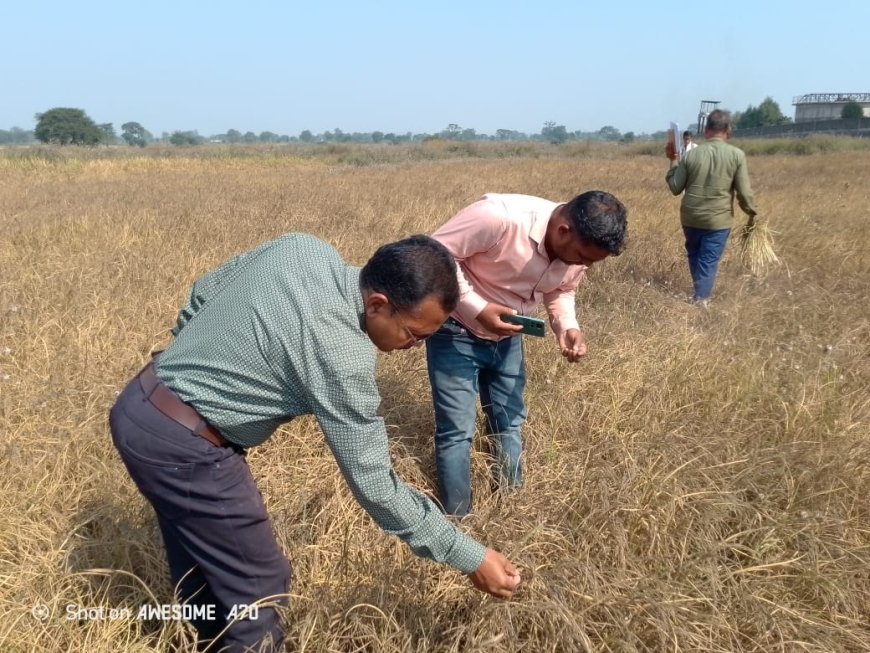 डी एम महासमुंद ने अवैध करणी कृपा पवार प्रायवेट लिमिटेड के प्रदूषण से  किसानों की फसलें नष्ट होने की जाँच शासकीय क़ृषि विभाग के टीम द्वारा किया गया दर्जनों किसानों का फसल नष्ट होना पाया गया, किसानों ने नारेबाजी किया, डी एम ने दिए हैँ अवैध कारखाना बंद करने के निर्देश किसान आंदोलन जारी-किसान मोर्चा