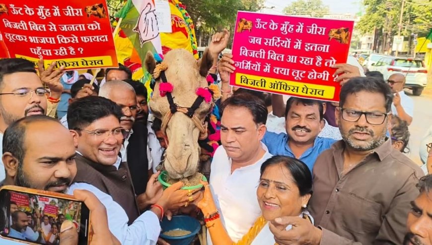 *400 यूनिट हॉफ को बंद कर केवल 200 यूनिट हॉफ योजना छग की जनता के लिए ऊंट के मुंह में जीरा समान - राकेश ठाकुर*