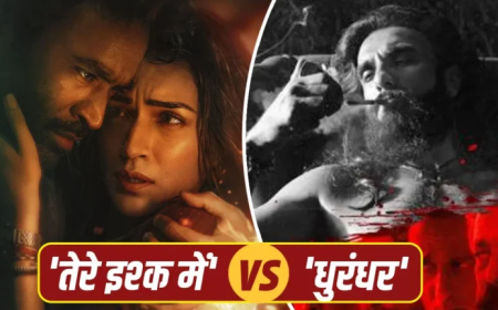 ‘तेरे इश्क में’ को ‘धुरंधर’ से मिली टक्कर, जानें कौन रहा किससे आगे