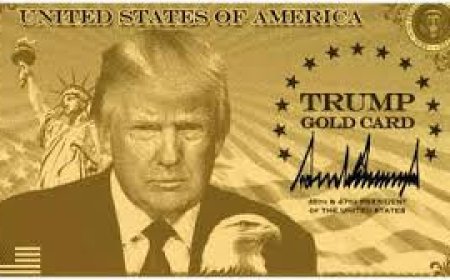 ट्रंप गोल्ड कार्ड: 10 लाख डॉलर में मिलेगी अमेरिका की परमानेंट रेजीडेंसी