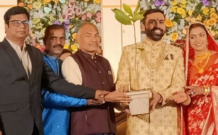 जनपद सदस्य प्रणव शर्मा व सौम्या शर्मा, नवदंपति  को शादी समारोह में भेंट किये बादाम के पौधें, छत्तीसगढ़ पर्यावरण मित्र समिति की पर्यावरण सहेजने की ओर नेक पहल