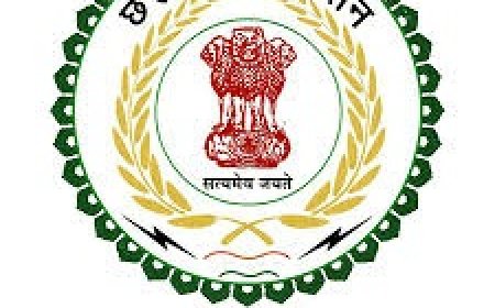 CGPSC 2025 Bharti : संशोधनों के बाद बढ़ी पदों की संख्या, अब 265 पदों पर होगी भर्ती