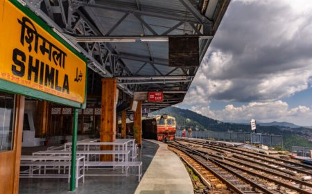 जान की परवाह नहीं?शिमला में चलती टॉय ट्रेन से आखिर क्यों कूद रहे पर्यटक