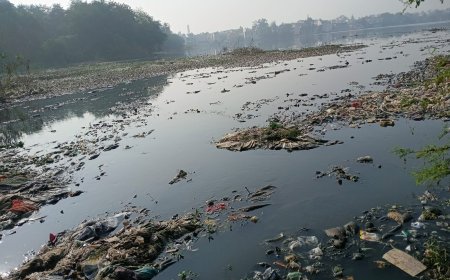 आधा महाराजबंध तालाब साफ, 50 ट्रक कचरा बाहर,  ग्रीन आर्मी का अभियान 21 दिन पूर्ण