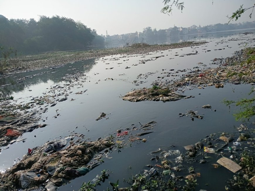 आधा महाराजबंध तालाब साफ, 50 ट्रक कचरा बाहर,  ग्रीन आर्मी का अभियान 21 दिन पूर्ण