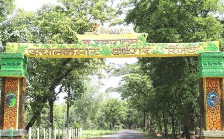 अचानकमार टाइगर रिजर्व में अवैध प्रवेश पर सख्त कार्रवाई