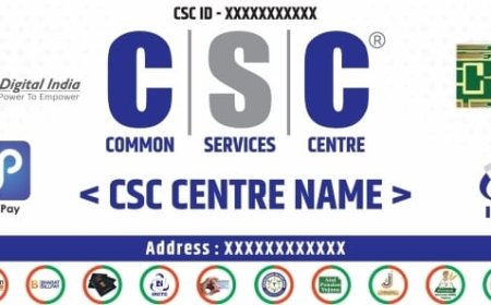 डिजिटल सेवा प्रदाताओं पर बड़ा एक्शन; नियमों की अनदेखी पर 206 CSC आईडी ब्लॉक