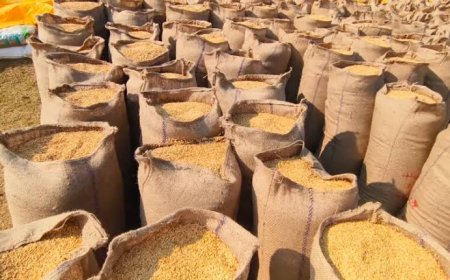 किसान प्रेमचंद लहरे 9.61 लाख की धान बिक्री से करेंगे भतीजी का विवाह