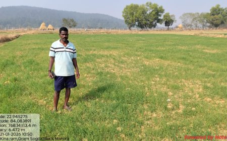 कम लागत में ज्यादा मुनाफा: रबी में गेहूं की खेती से किसानों की बढ़ी आमदनी