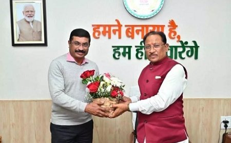 CM साय से मिले नवनियुक्त सलाहकार आर. कृष्णा दास