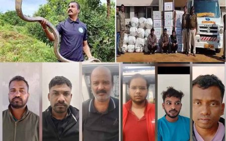 एम्बुलेंस में गांजा तस्करी का मास्टरमाइंड निकला मशहूर यूट्यूबर-सर्प मित्र