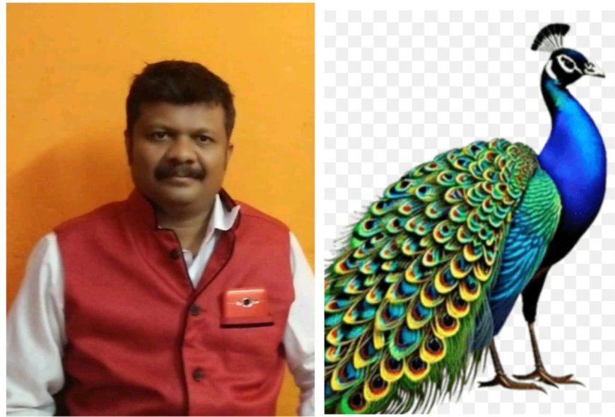 राष्ट्रीय पक्षी दिवस, आइए‌ हम सब मिलकर पारिस्थितिकी तंत्र में पक्षियों के महत्व के बारे में बढ़ाएं जागरूकता