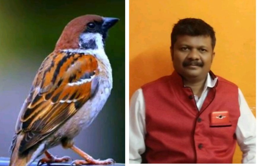 राष्ट्रीय पक्षी दिवस, आइए‌ हम सब मिलकर पारिस्थितिकी तंत्र में पक्षियों के महत्व के बारे में बढ़ाएं जागरूकता