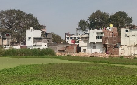 सर्वोदय तालाब पर बढ़ते अतिक्रमण को लेकर ग्रीन आर्मी संस्था ने उठाई आवाज