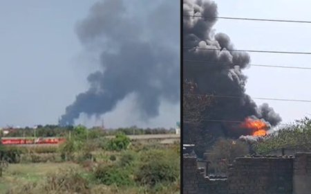 आइल फैक्ट्री में लगी भीषण आग, इलाके में मची अफरा-तफरी…