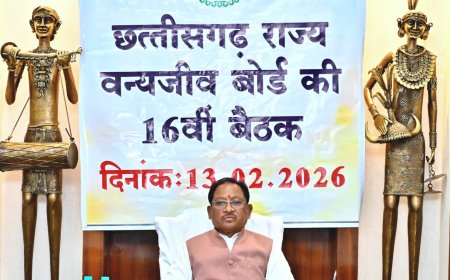 वन्यजीवों के प्राकृतिक आवास की सुरक्षा और सह-अस्तित्व के सिद्धांतों के अनुरूप हो सभी गतिविधियों का संचालन : मुख्यमंत्री