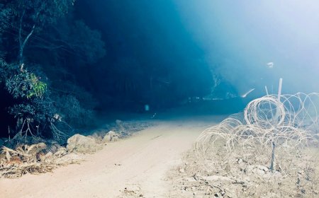 गोगुंडा की पहाड़ियों पर आजादी के 78 वर्ष बाद पहुँची बिजली, ग्रामीणों में हर्ष का माहौल