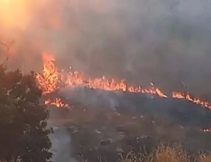 उदन्ती-सीतानदी टाइगर रिजर्व में भीषण आग, पहाड़ियों तक पहुंची लपटें