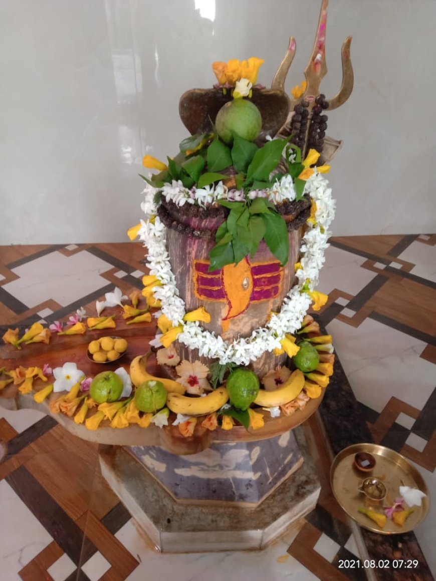 *आज 15 फरवरी को शिवपार्क कॉलोनी अमलेश्वर में होगा शिव रुद्राभिषेक एवं महाभंडारा का आयोजन*,*भजन कीर्तन की होगी प्रस्तुति*