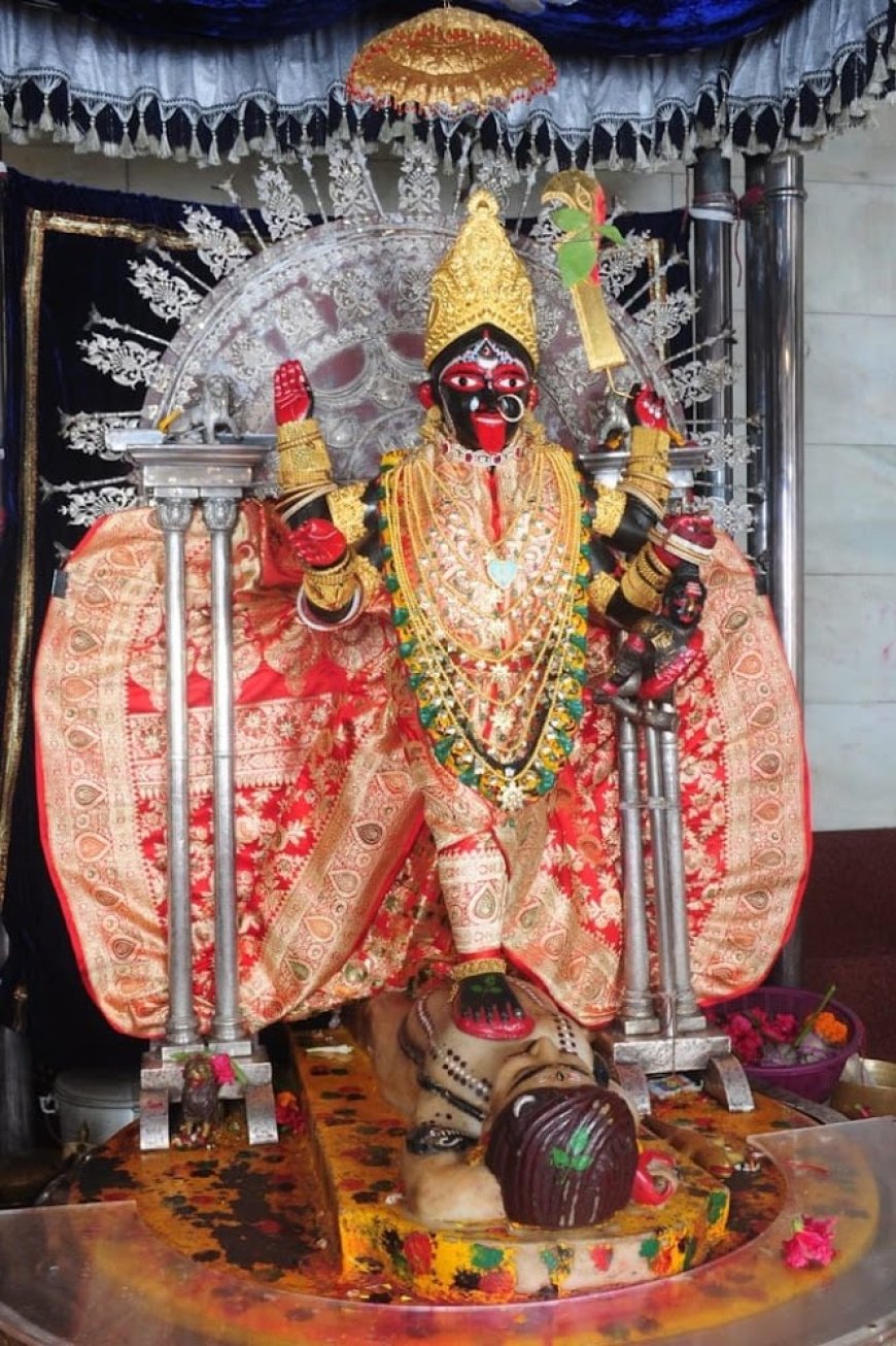 मातृप्रेम, त्याग एवं साधना की मूर्त अभिव्यक्ति -: श्रीरामकृष्ण परमहंस