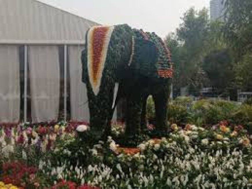 20 क्विंटल फूलों से बनाया गया केदारनाथ मंदिर का भव्य स्वरूप; विदेशों से भी लाए गए हैं फूल…